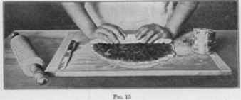[Illustration: FIG. 15.]
